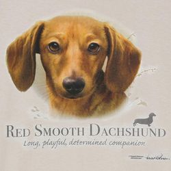Red Dachshund: Long, Playful, Determined T-Shirt