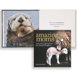 Amazing Moms: Love and Lessons from the Animal Kingdom Book