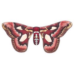 Magnificent Moth Wings Toy