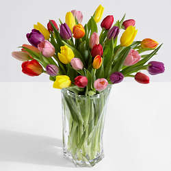 30 Assorted Tulips with Brilliant Cut Vase