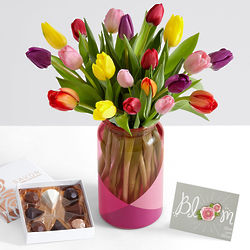 All-in-One 20 Multi-Colored Tulip Bouquet