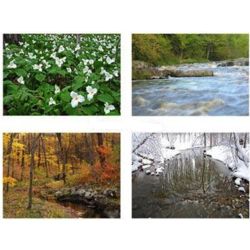 Wisconsin Seasons Photo Note Cards