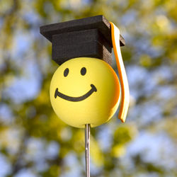 Graduation Antenna Ball