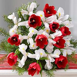 Holiday Tulip and Iris Bouquet