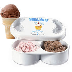 Dual Flavor Ice Cream Maker