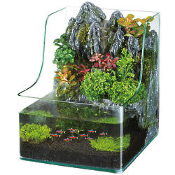 AquaTerrium Plant Fish Tank
