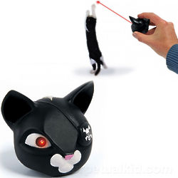 Space Pirate Kitty Laser Pointer