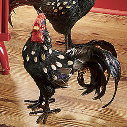 Small Au Natural Rooster Figurine