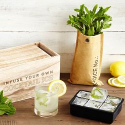 Grow and Infuse Cocktail Ice Kit