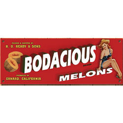 Bodacious Melons Vintage Metal Bar Sign