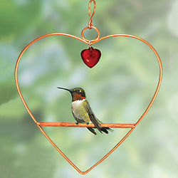 Heart-Shaped Bird Swing