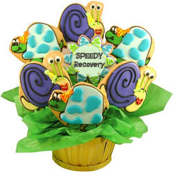 Speedy Recovery Turtles and Snails Sugar Cookie Basket