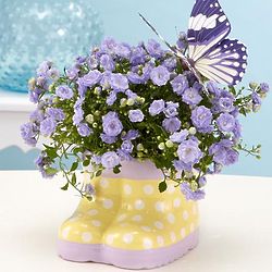 Sweet Spring Showers Bouquet