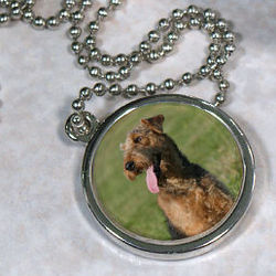 Personalized Pet Photo Circle Frame Necklace