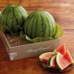 Mini Watermelons Gift Box