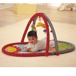 Two in One Baby Gym