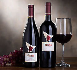 Talaria Sonoma Red Wine Duet Gift Set