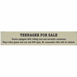 Teenager For Sale Plaque