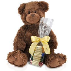Plush Cocoa Bear with Chocolate Squares