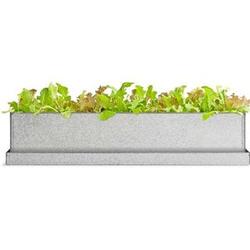 Grow Box Windowsill Herb or Greens Garden Planter