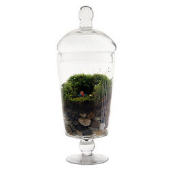 Grow Old With You Terrarium