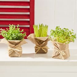 3 Faux Herbs in Burlap Planters