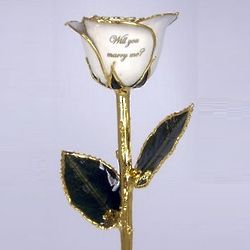 Will You Marry Me Gold Dipped 11" Rose