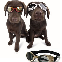 Doggles Protective Eyewear for Dogs