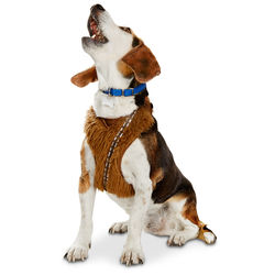 Star Wars Chewbacca Dog Harness