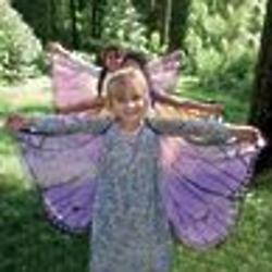 Fanciful Butterfly Wings