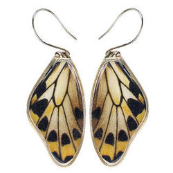 Wallace's Golden Birdwing Butterfly Wing Earrings