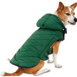 Quilted Dog Parka