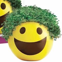 Emoji Smiley Chia Pet