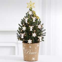 Angels & Snowflakes Spruce Tree with Star Topper and Lights