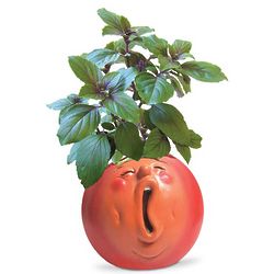 Funny Tomato Basil Herb Kit