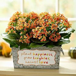 Plant Happiness, Grow Laughter, Harvest Love Planter