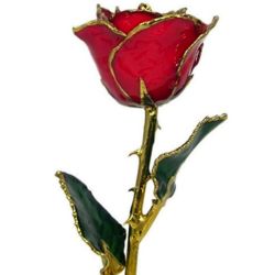 Red Lacquer Gold-Dipped Rose
