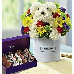 Tail Waggin' Fun Bouquet with 12 Dipped Strawberries