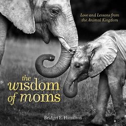 The Wisdom of Moms Book