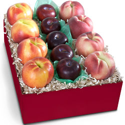 Summer Fruit Collection Gift Box