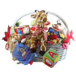 Play Baby Play Toy Basket