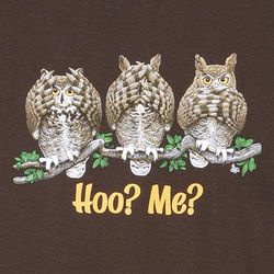 Hoo? Me? Hear, See and Speak No Evil Owl Shirt