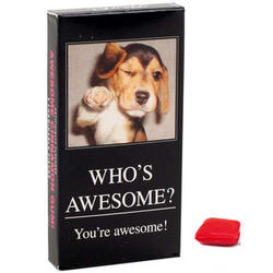 Who's Awesome? You're Awesome! Gum