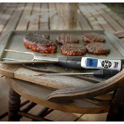 Two-in-One Temperature Probe and Grill Fork