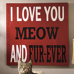 Meow and Fur-Ever Canvas Art