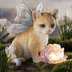 Angel Cat with Solar Flower