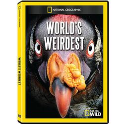 World's Weirdest DVD-R