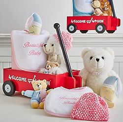 Hello Baby! Welcome Wagon Gift Basket for Girl