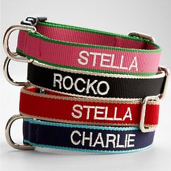 Personalized Eco-Friendly Dog Collar