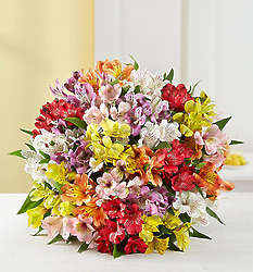 100 Bloom Peruvian Lily Bouquet